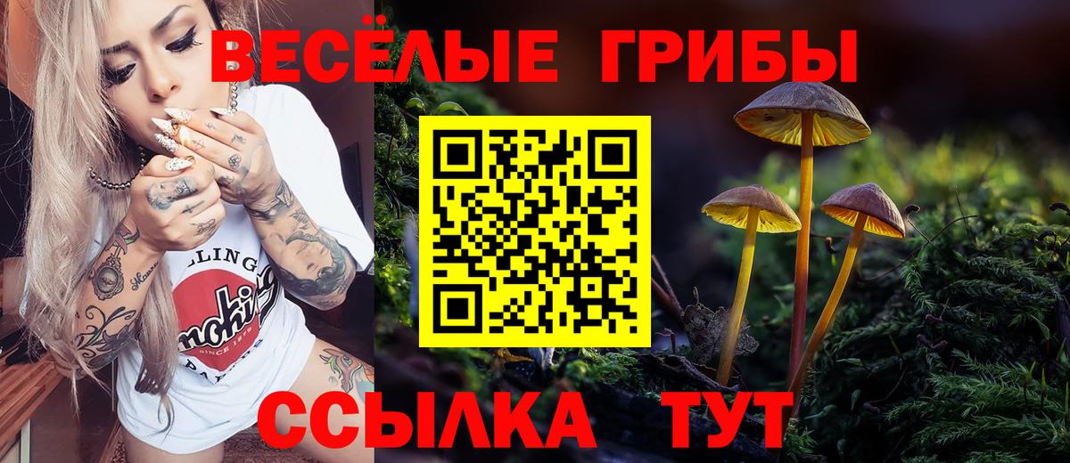 Псилоцибиновые грибы Cubensis  Псилоцибиновые грибы ЛСД  Вход с VPN  Тутаев 